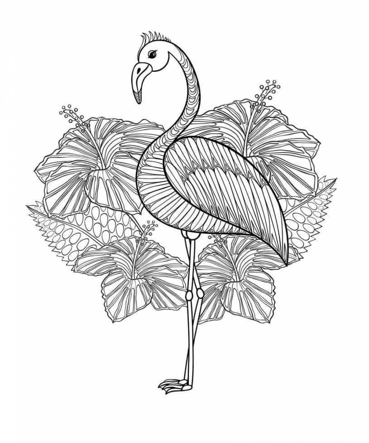 Awesome flamingo coloring pages for girls