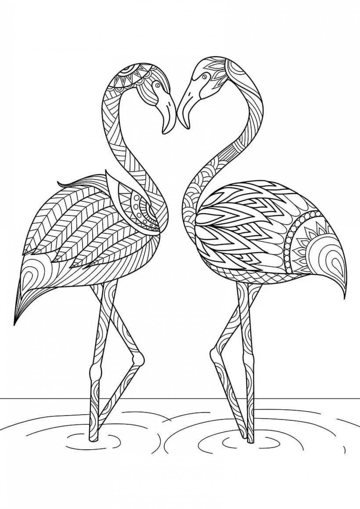 Exquisite flamingo coloring book for girls