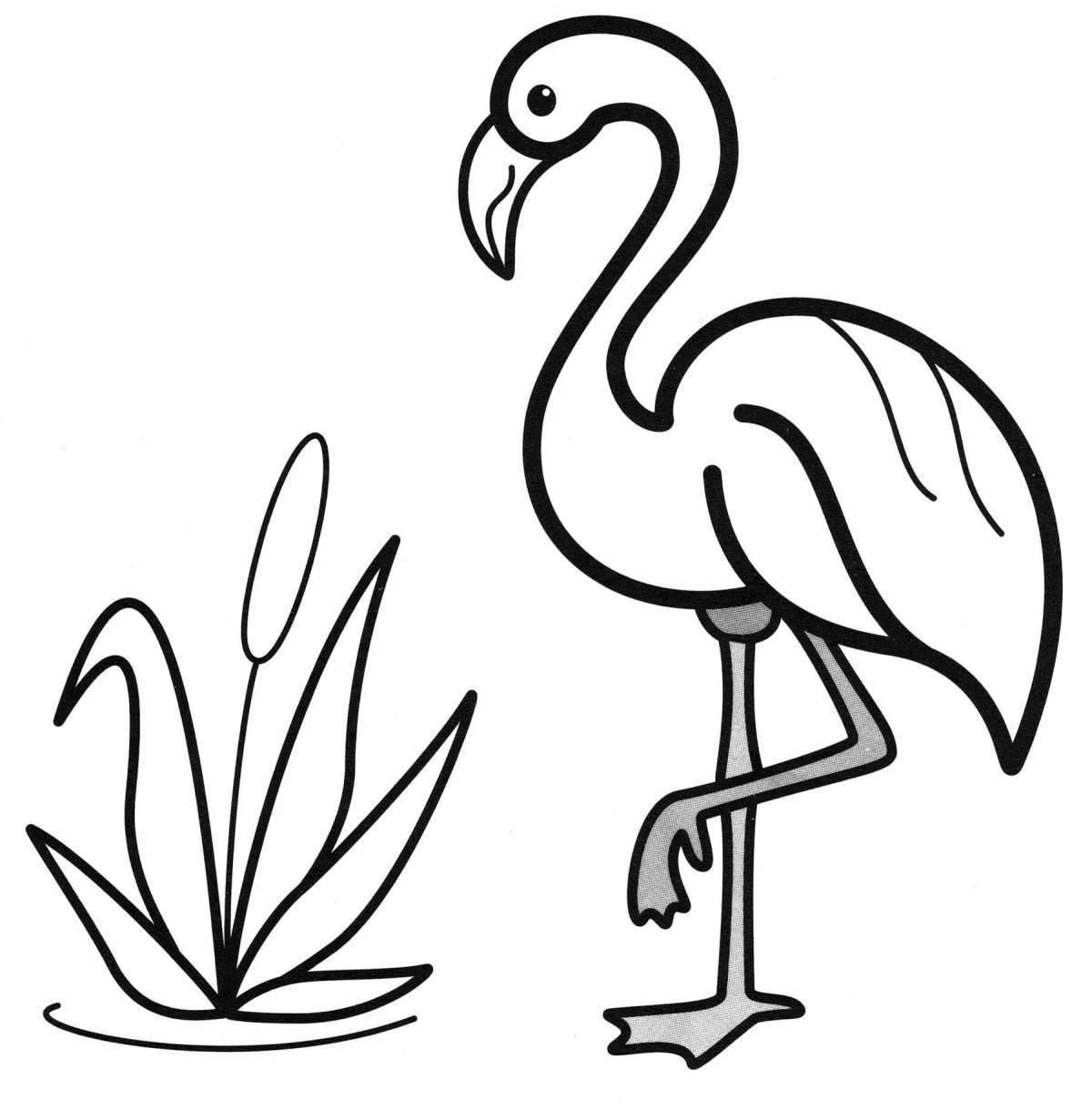 Dazzling flamingo coloring pages for girls