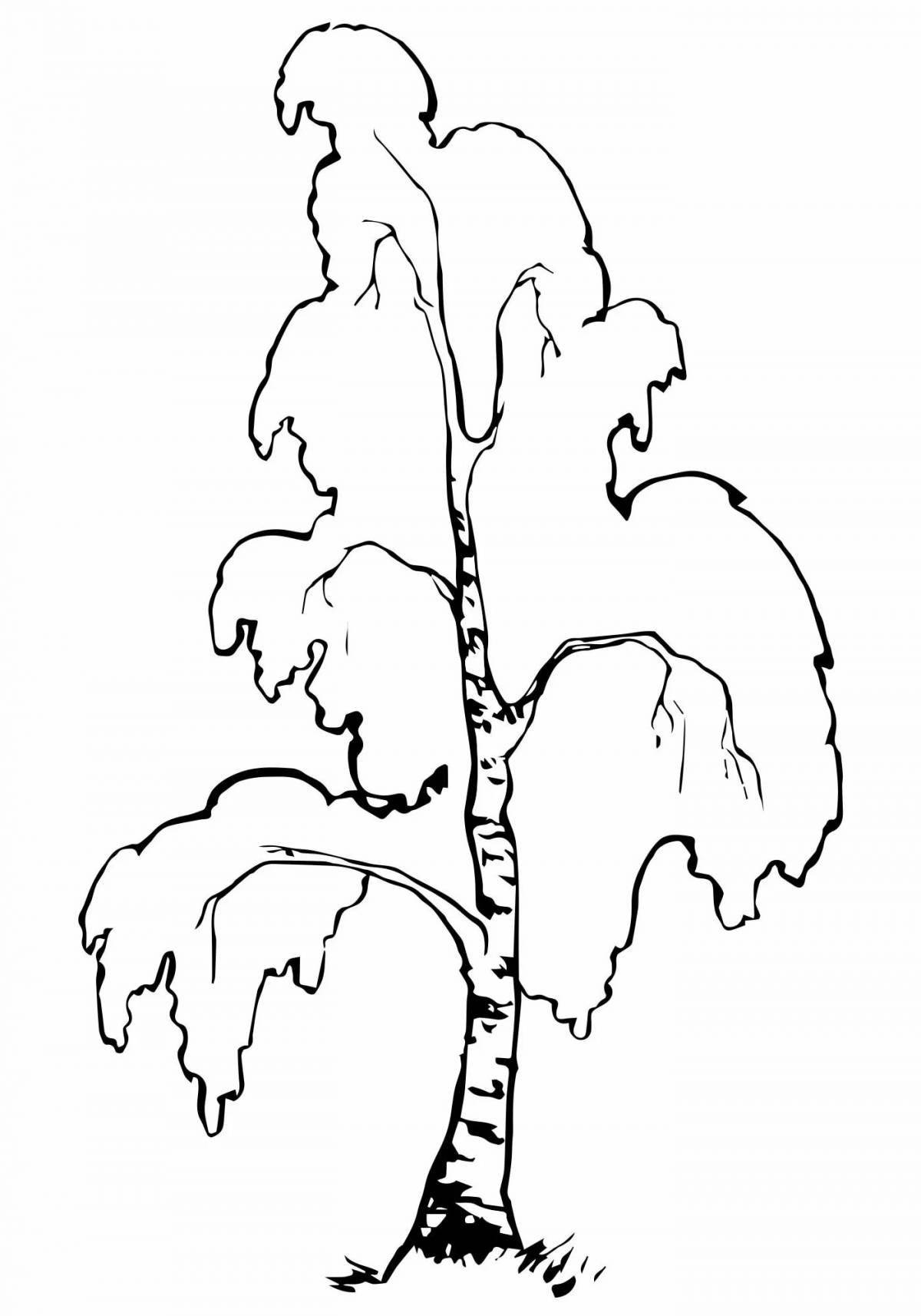 Delightful birch in the snow coloring book
