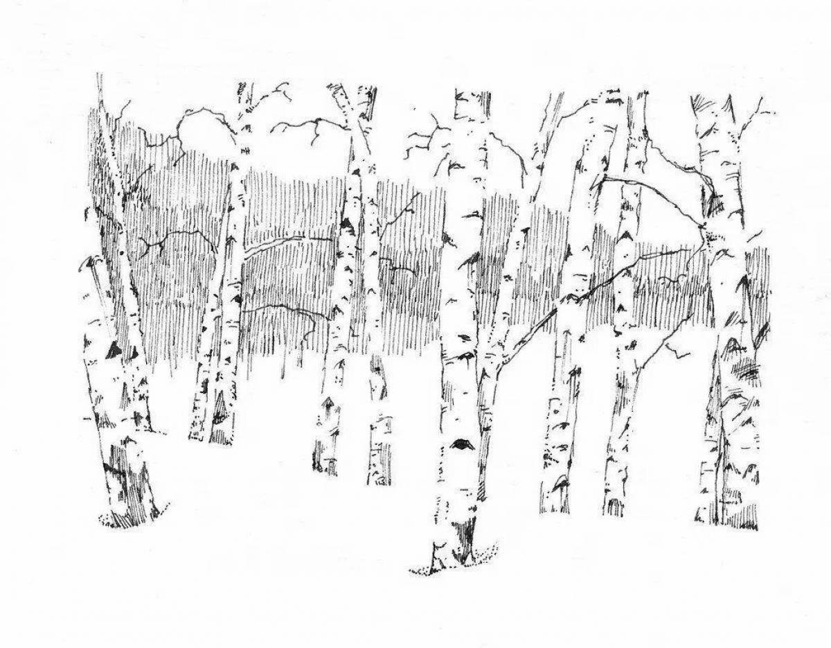 Coloring book captivating birch in the snow
