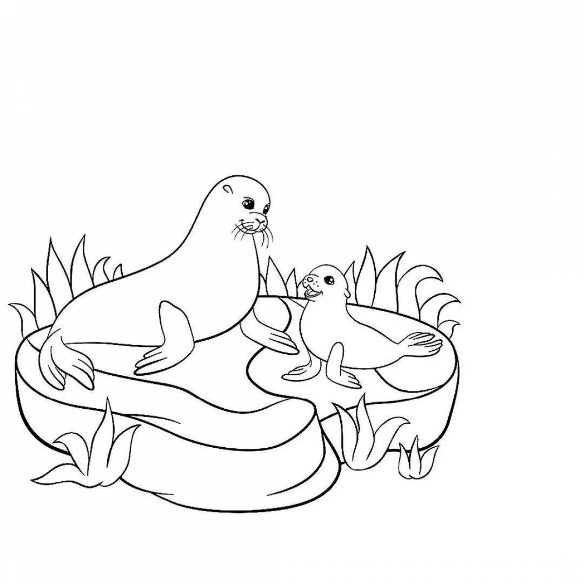 Charming seal on ice coloring book