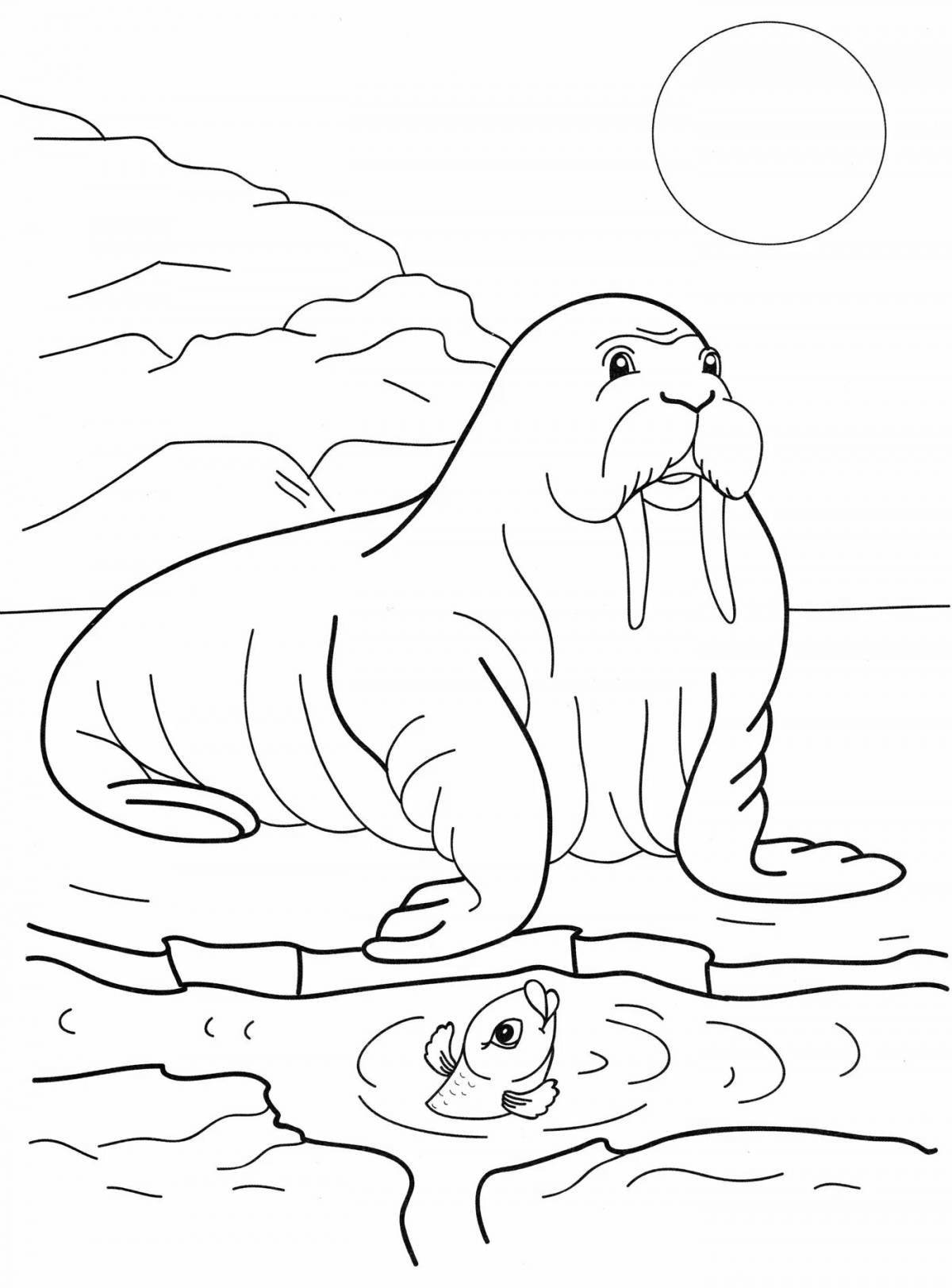 Раскраска веселый тюлень на льду