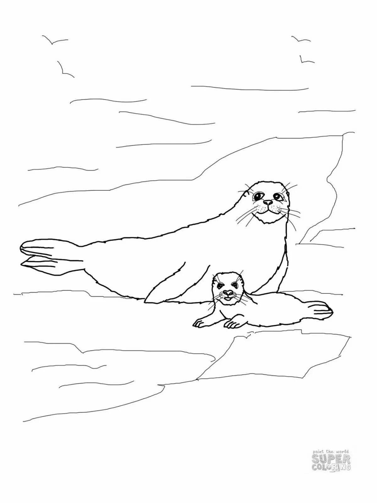 Раскраска яркий тюлень на льду