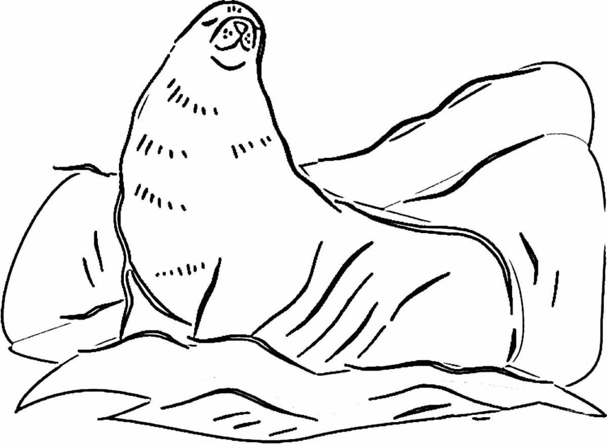 Анимированная страница раскраски «тюлень на льду»
