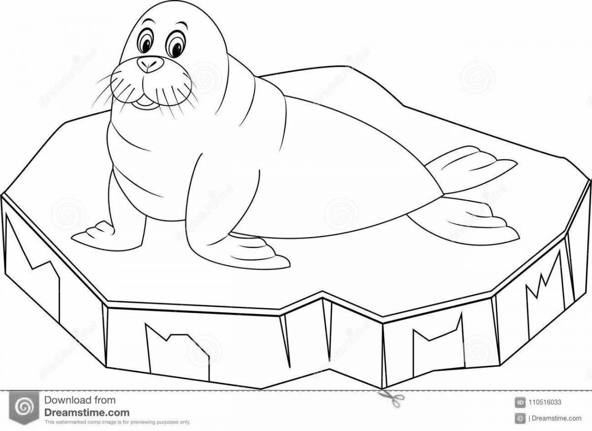 Exciting seal on ice coloring page