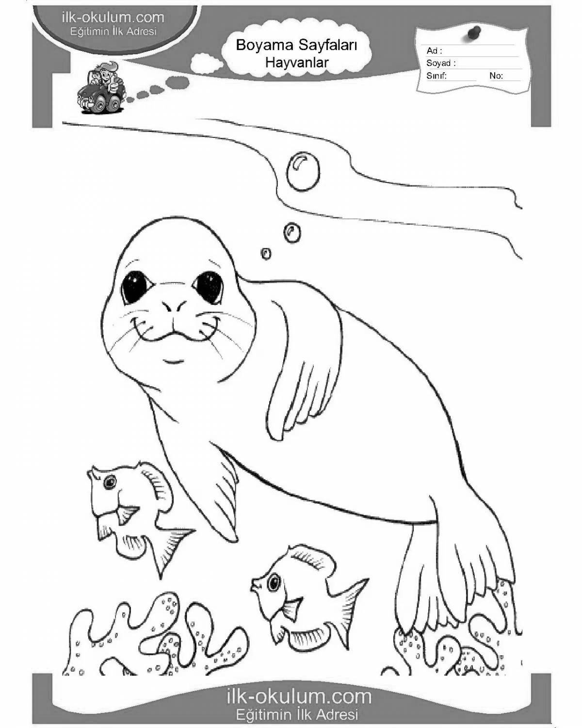Colouring serene seal on ice