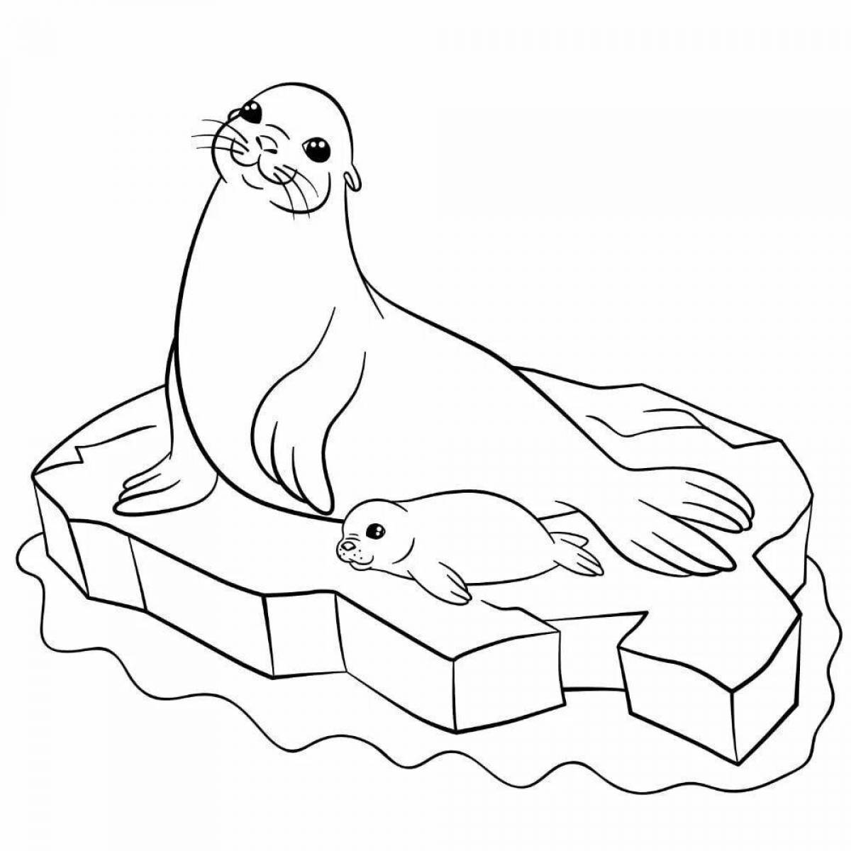 Colouring adorable seal on ice