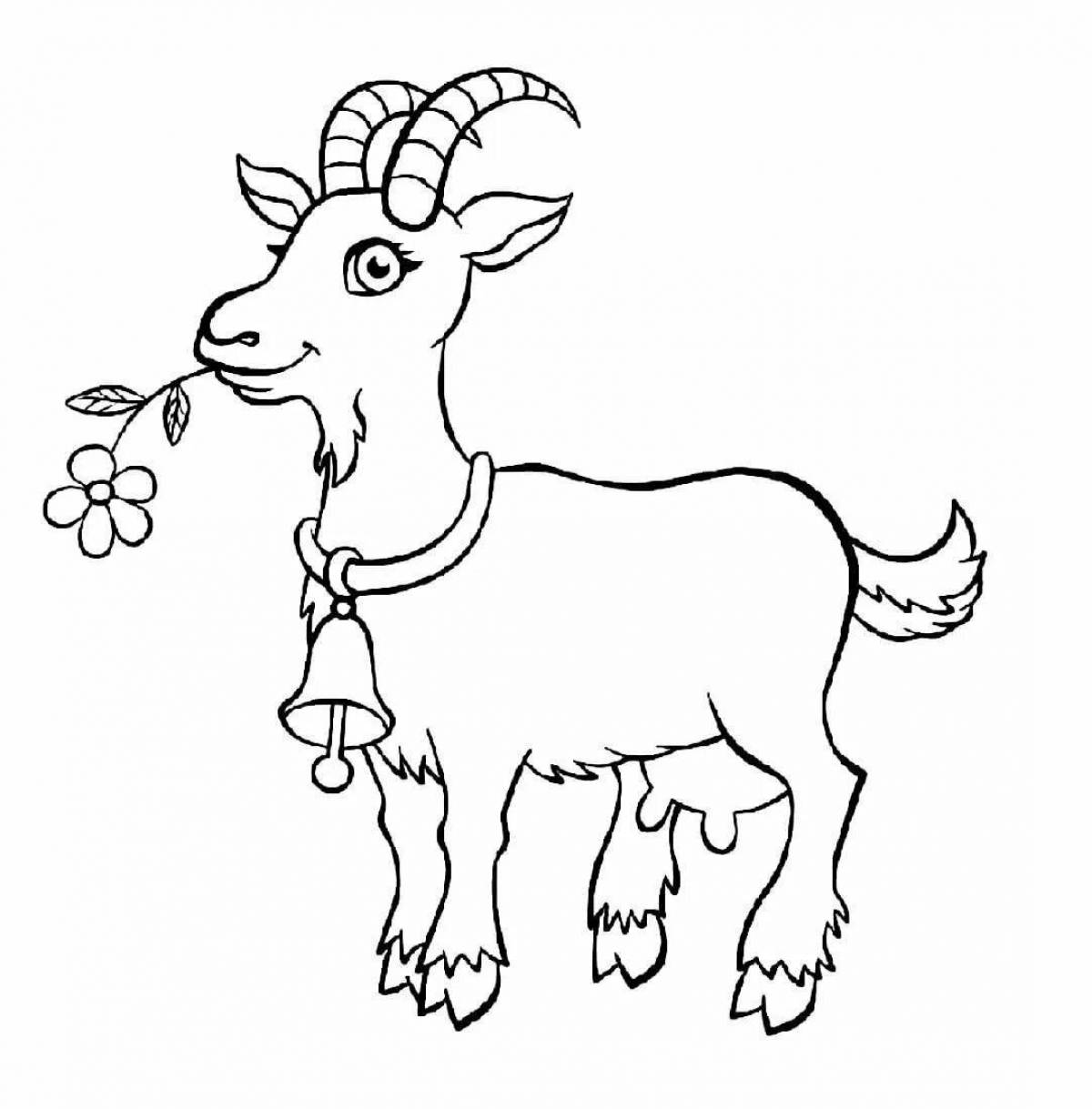 Fluffy goat coloring book for kids