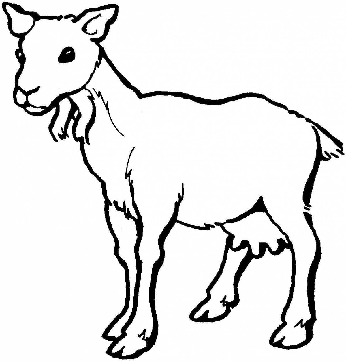 Fancy goat coloring book for kids