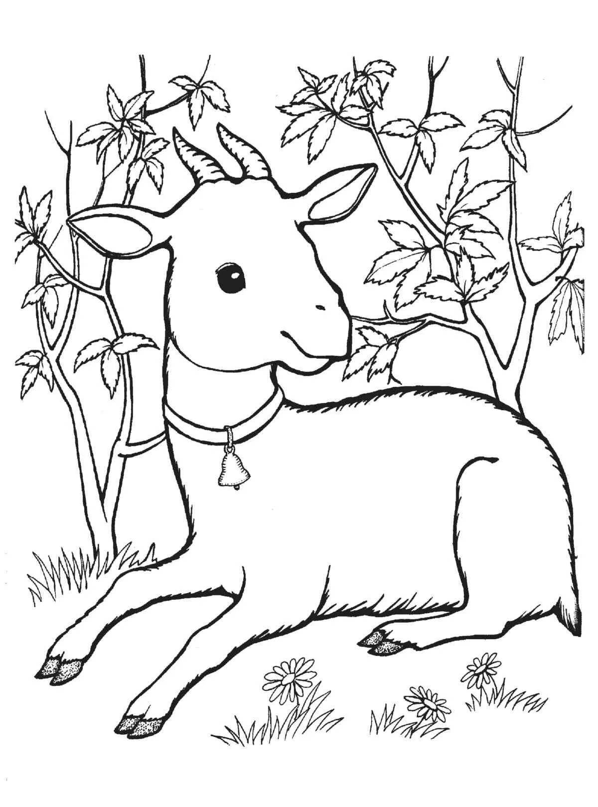 Coloring page energetic goat for kids