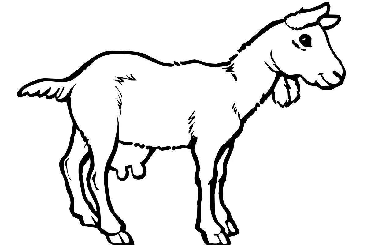 Coloring page energetic goat for kids