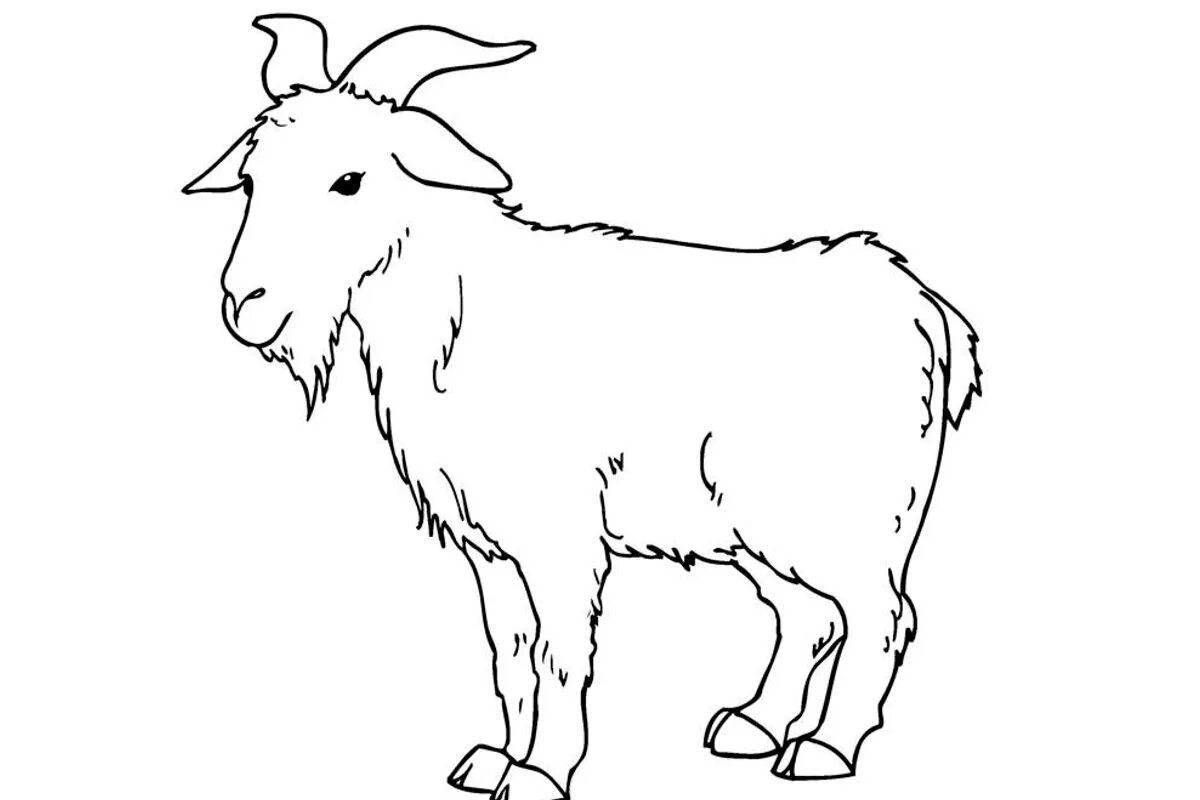 Остроумная коза раскраски для детей