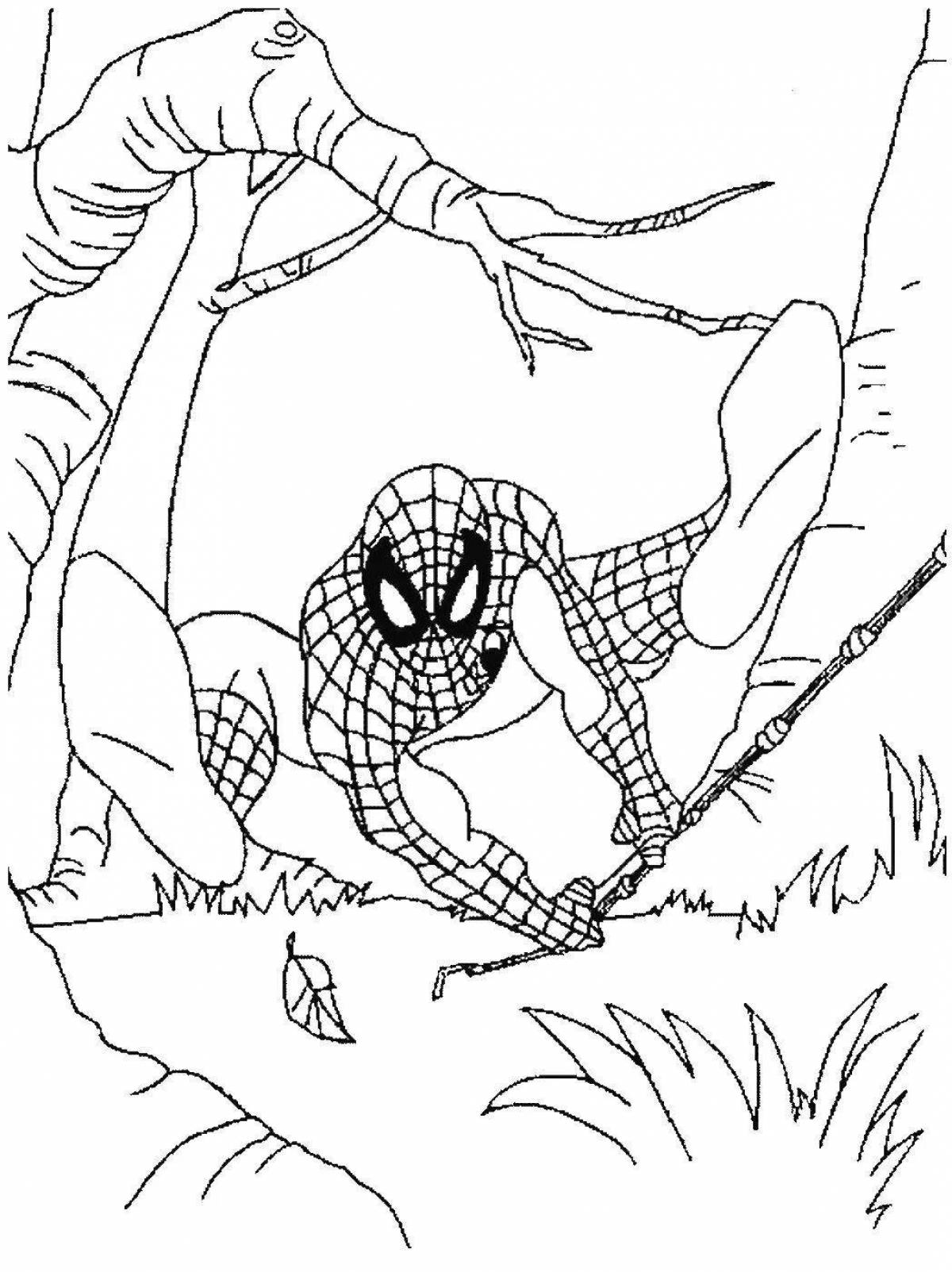 Потрясающая мультяшная раскраска человека-паука