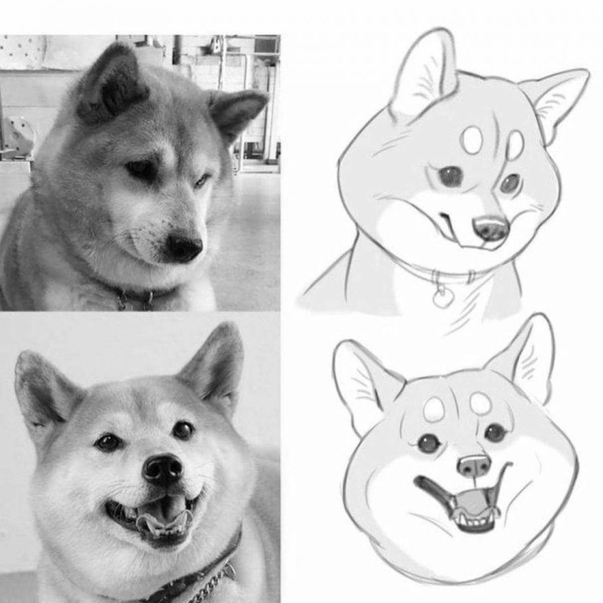 Funky shiba inu coloring page — лалафанфан