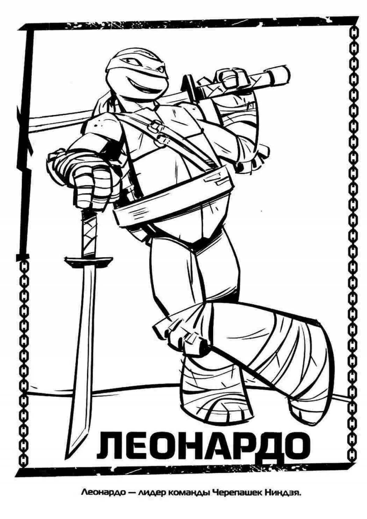 Colorful donnie ninja turtles coloring book