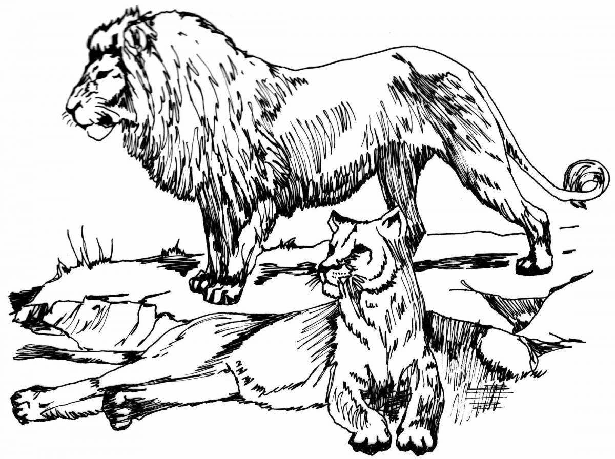 Courageous lion coloring page