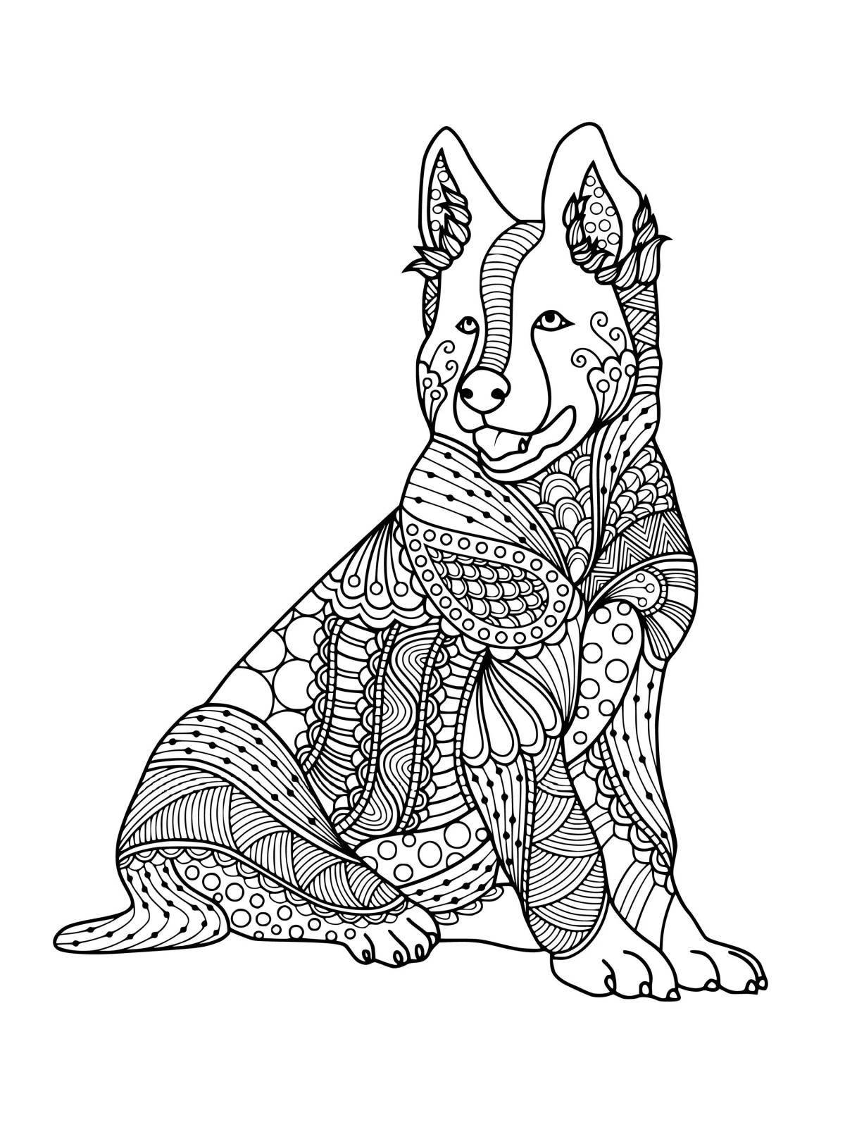 Fancy dog ​​coloring page