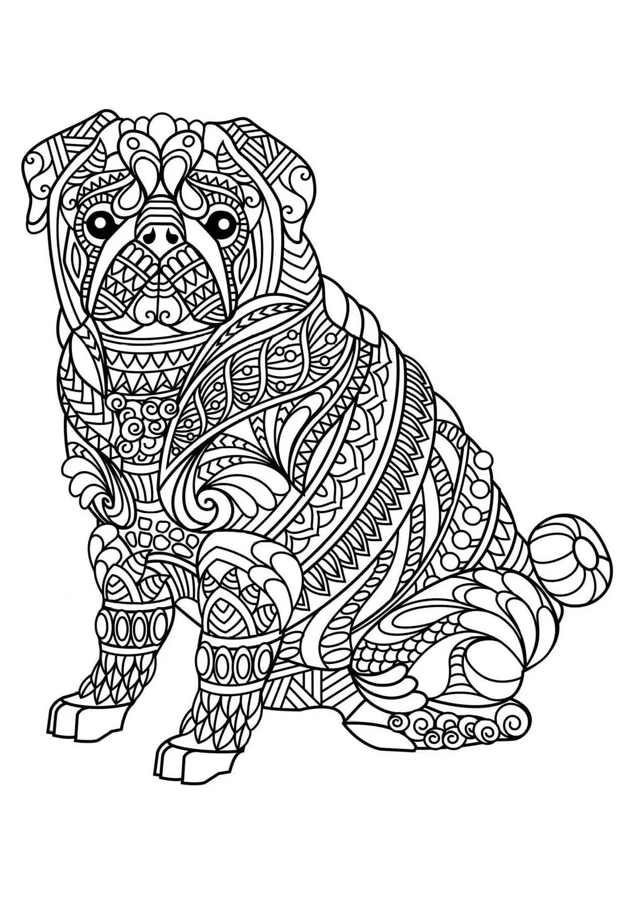Adorable dog with patterns coloring book