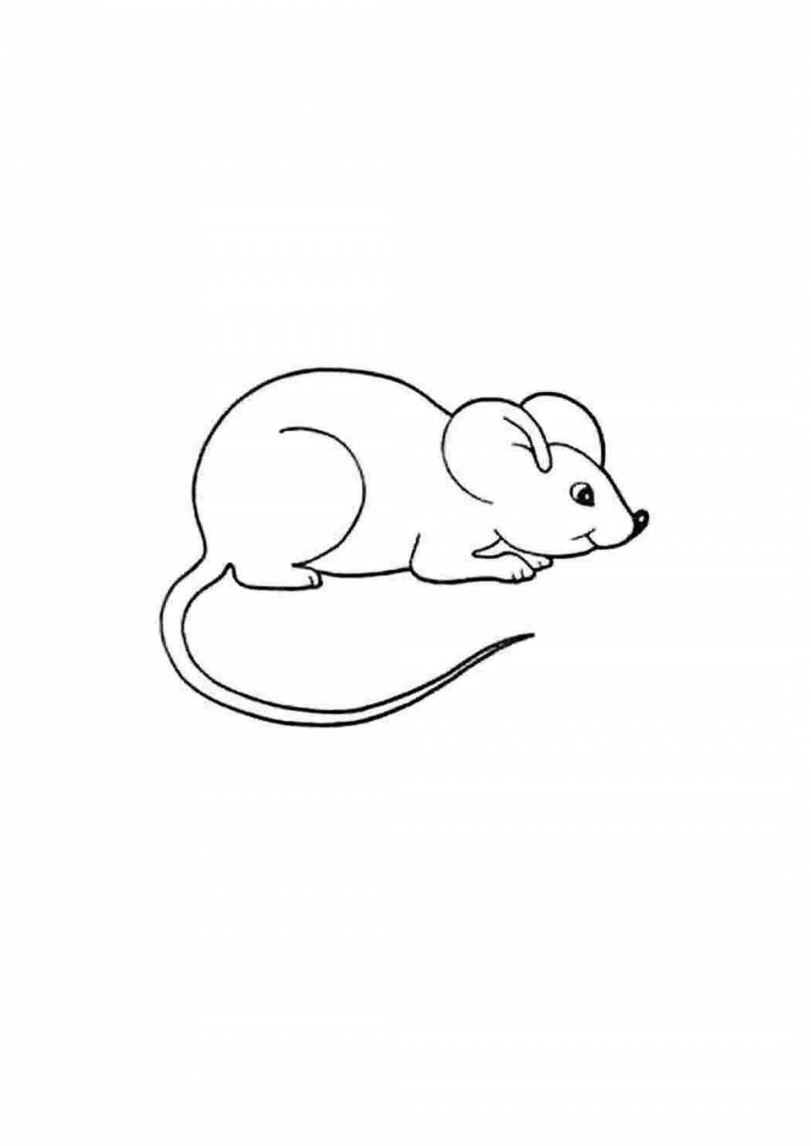 Контурные рисунки мышка