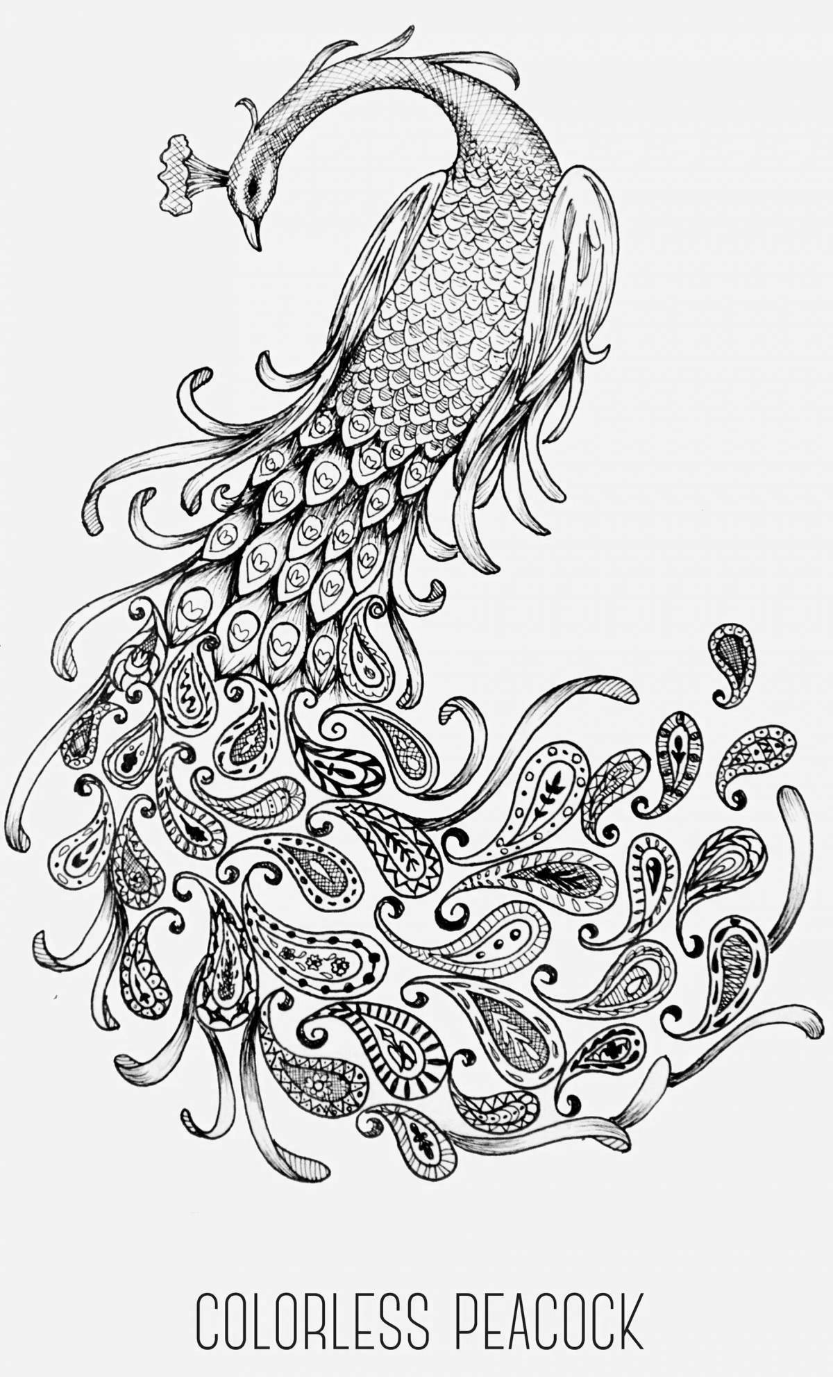 Heat bird relaxing anti-stress coloring book