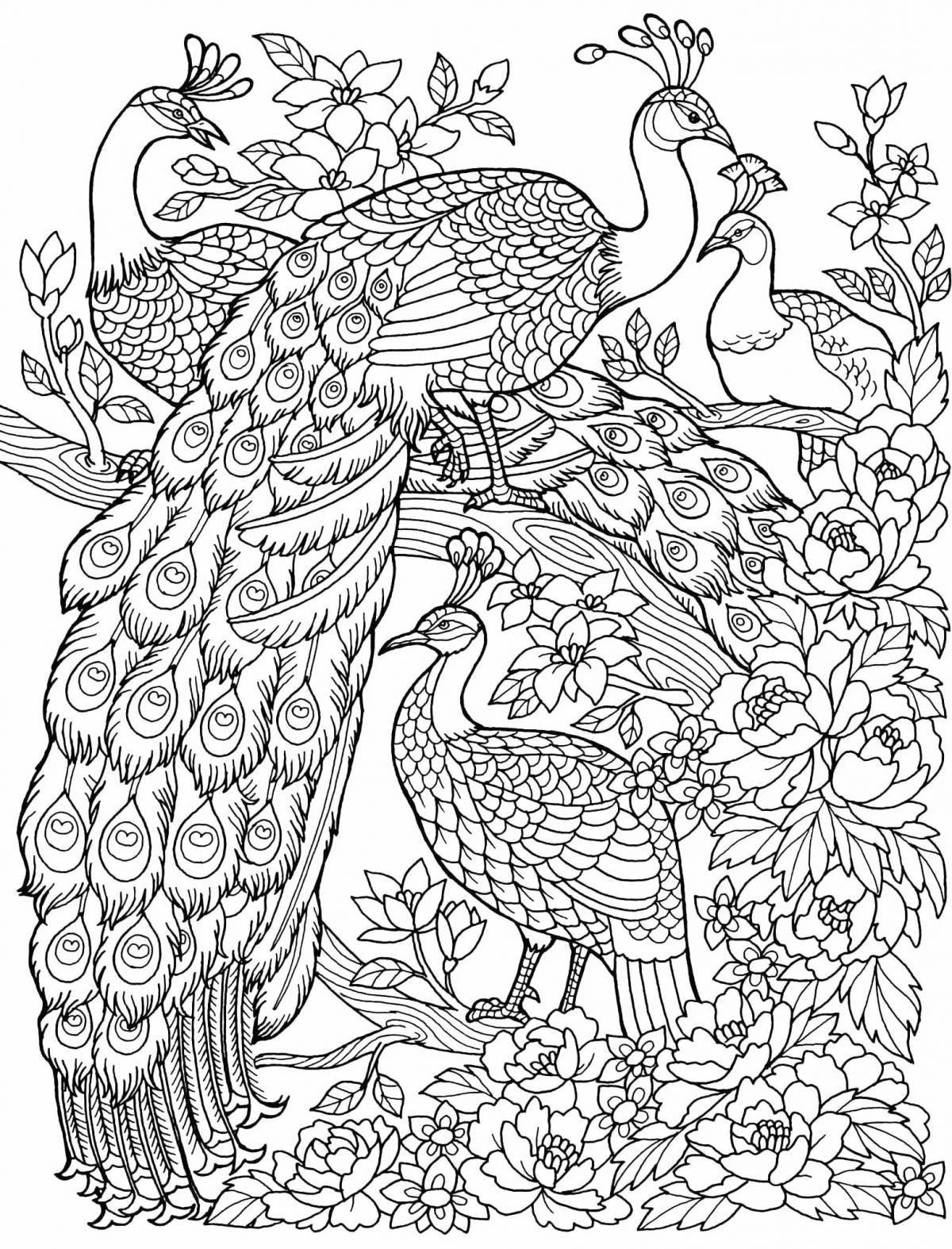 Heat bird magic anti-stress coloring book