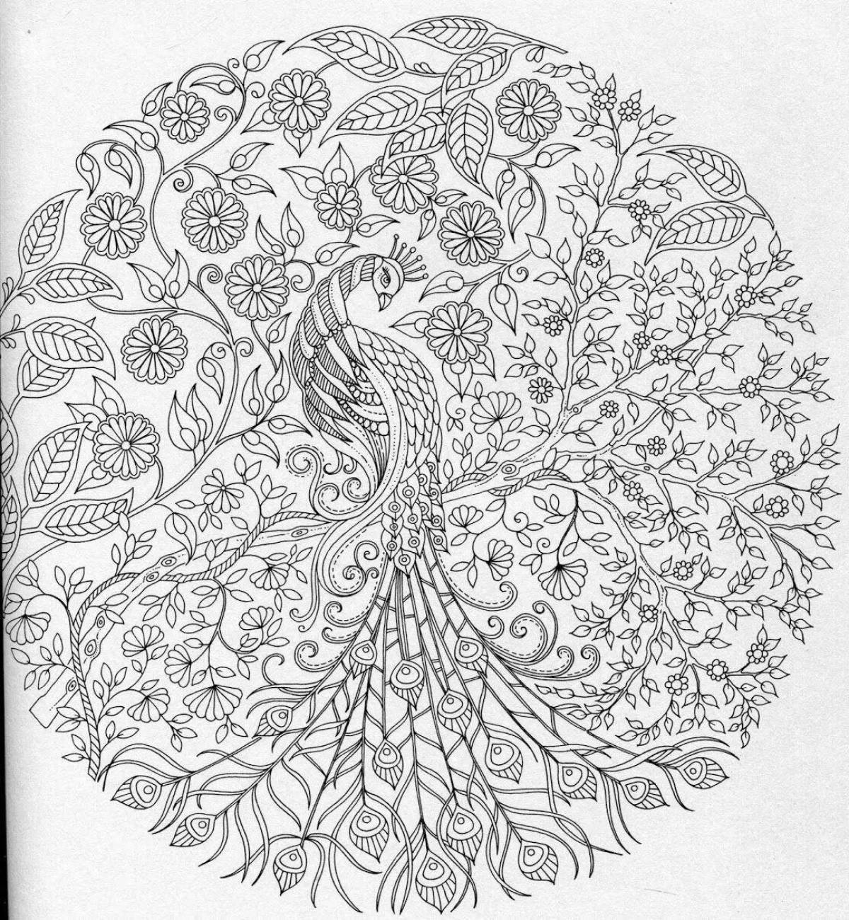 Exquisite heat bird anti-stress coloring book