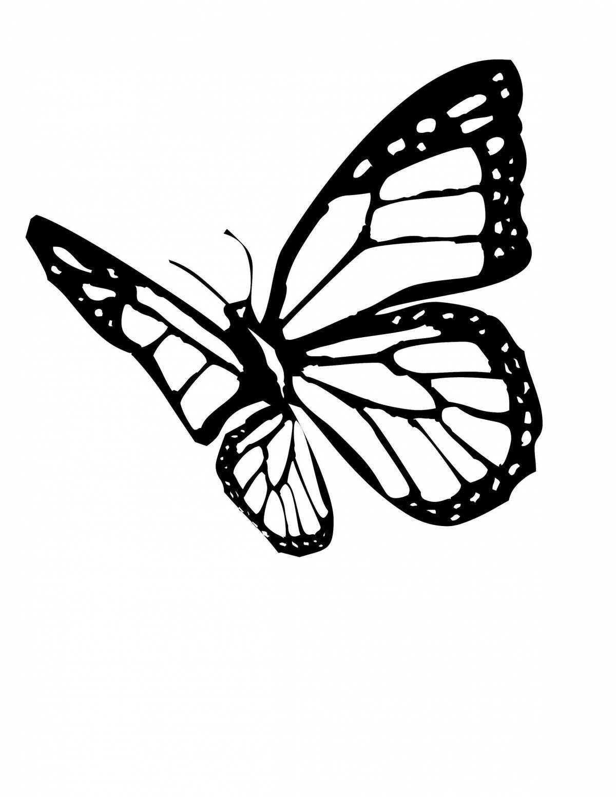 Coloring book gorgeous black and white butterflies