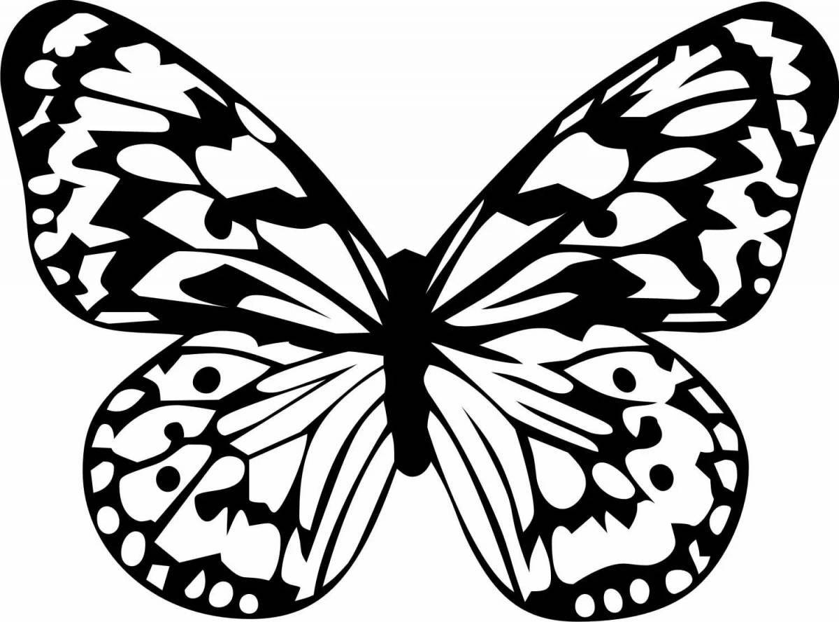 Изысканные черно-белые бабочки раскраски