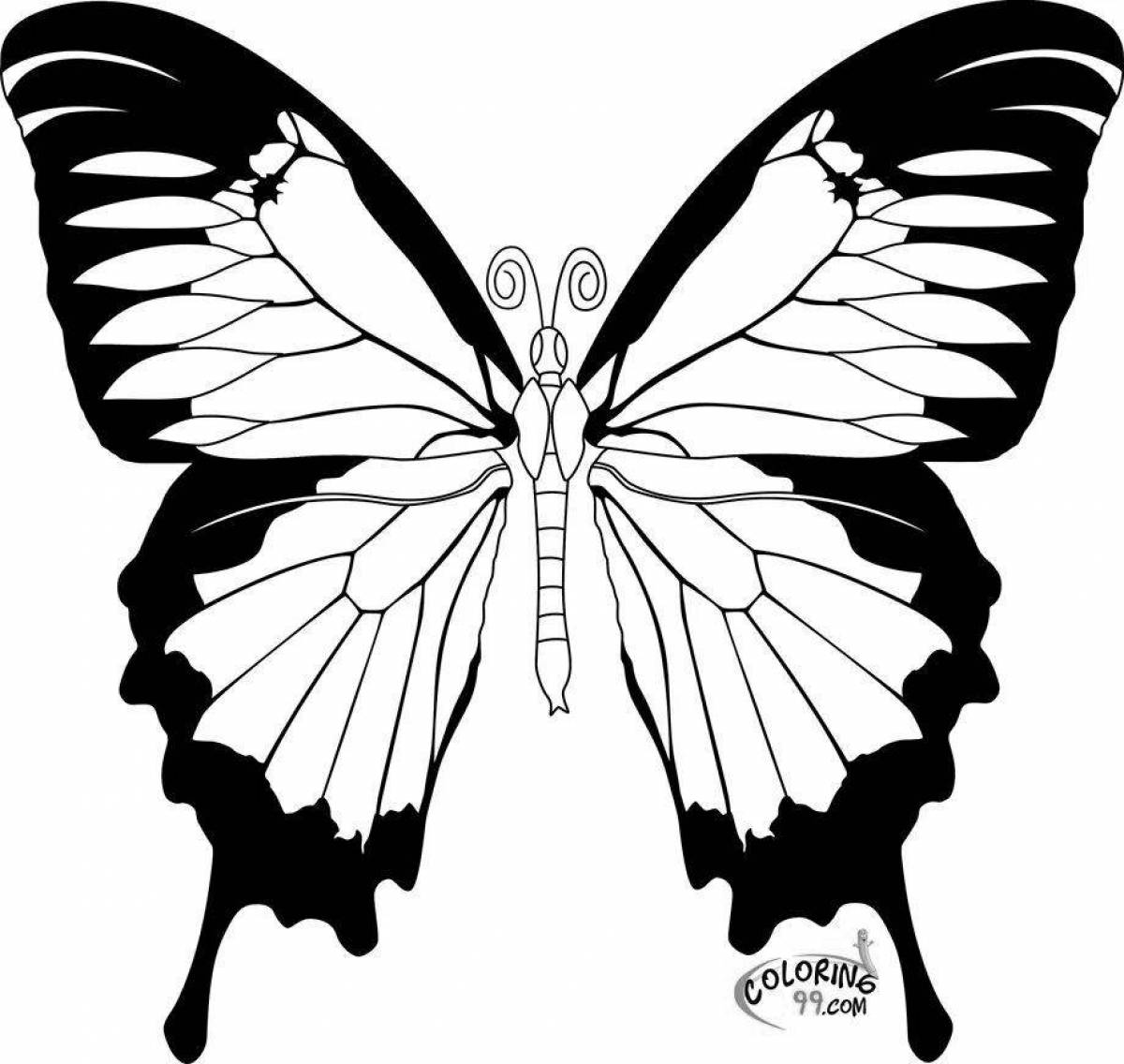 Coloring book elegant black and white butterflies