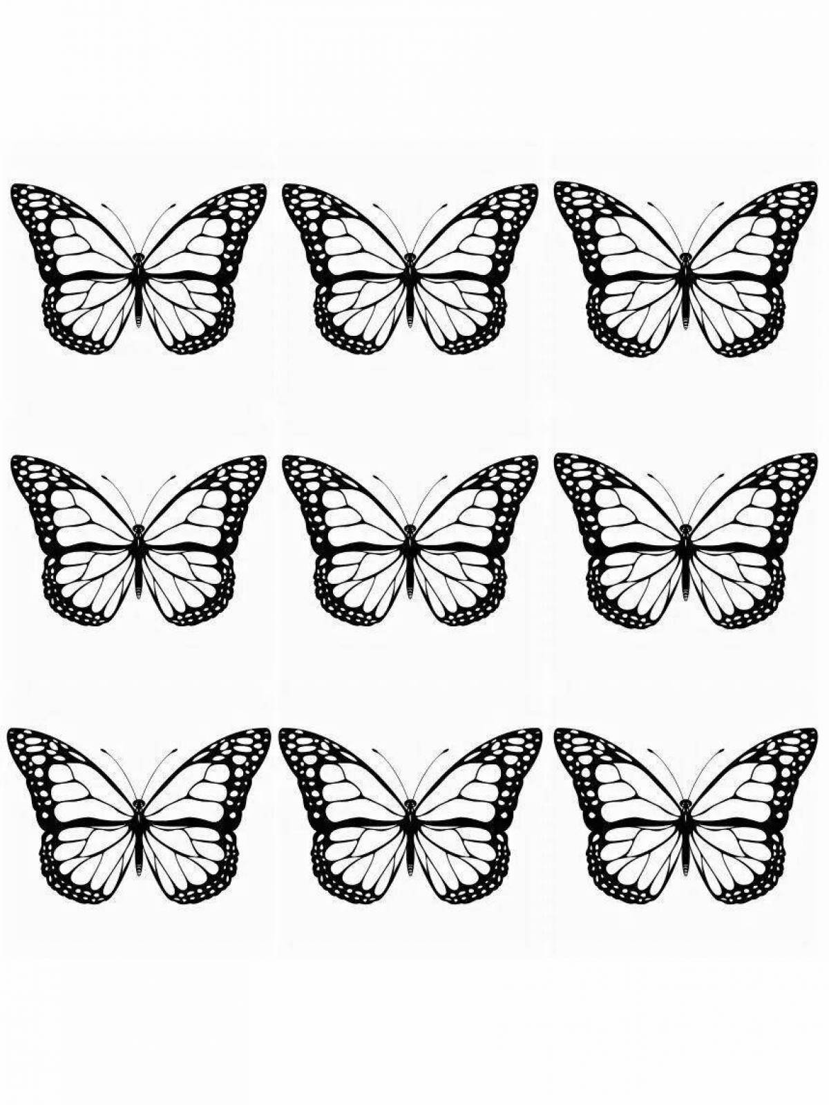 Adorable black and white butterflies coloring book