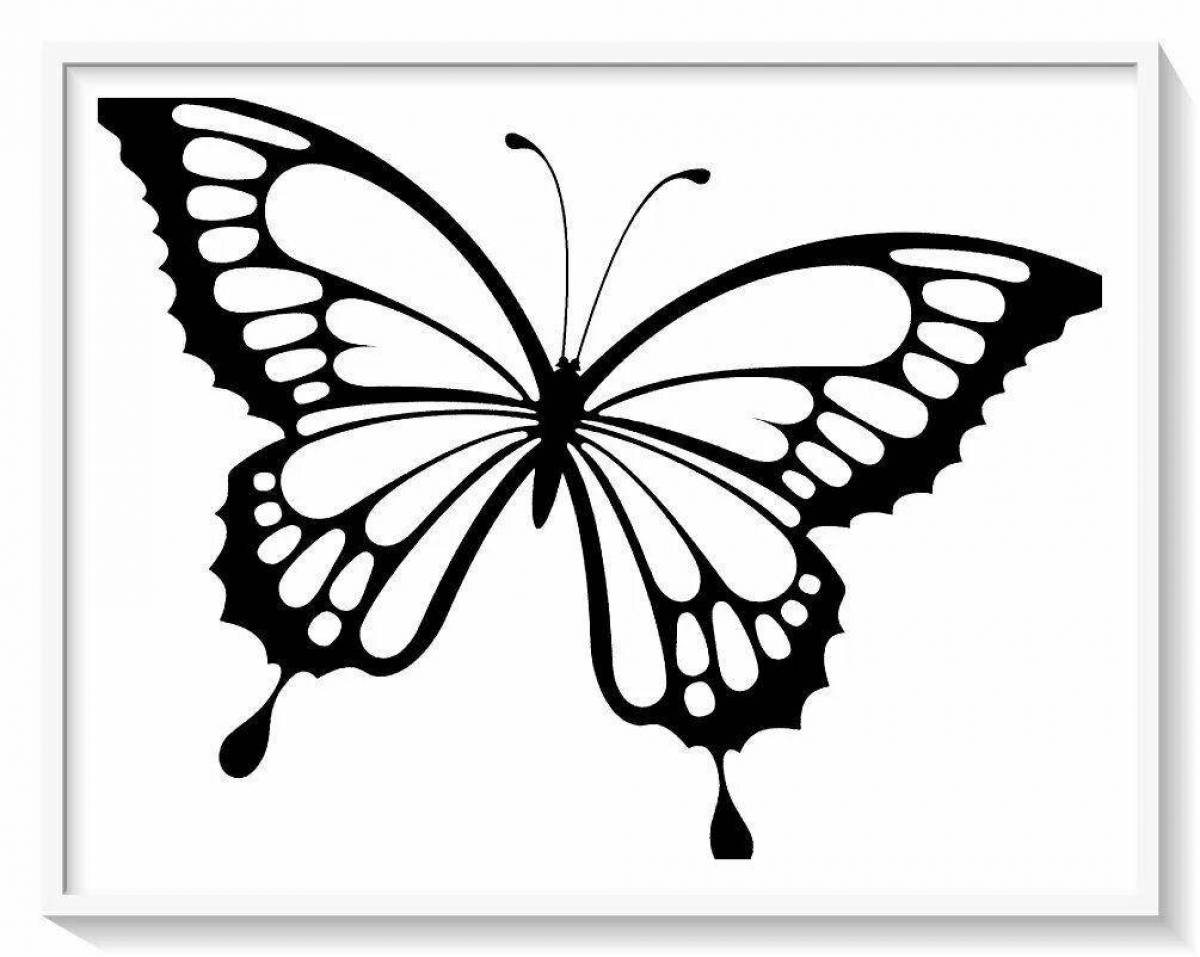 Чудесные черно-белые бабочки раскраски