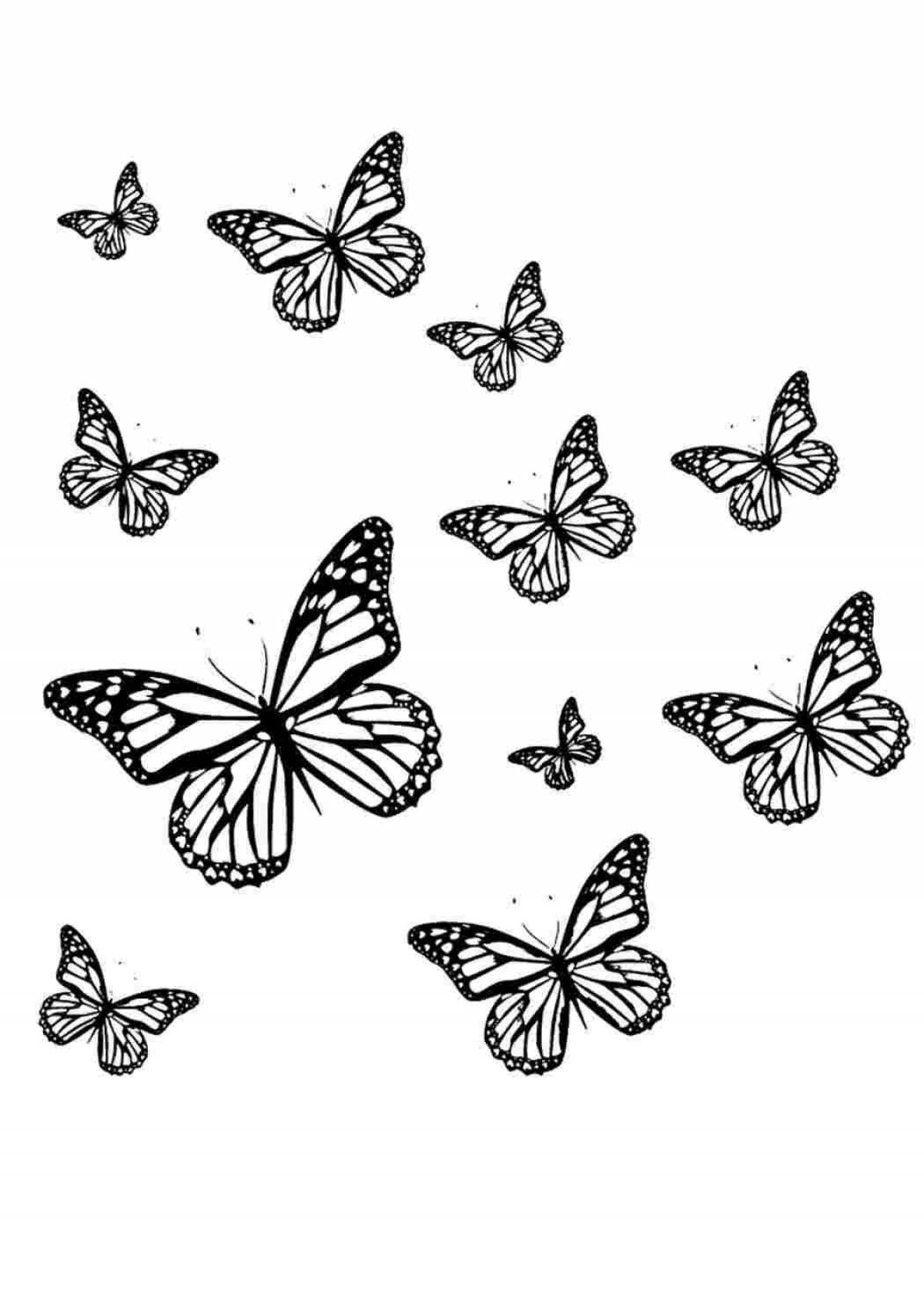 Живая черно-белая раскраска бабочки