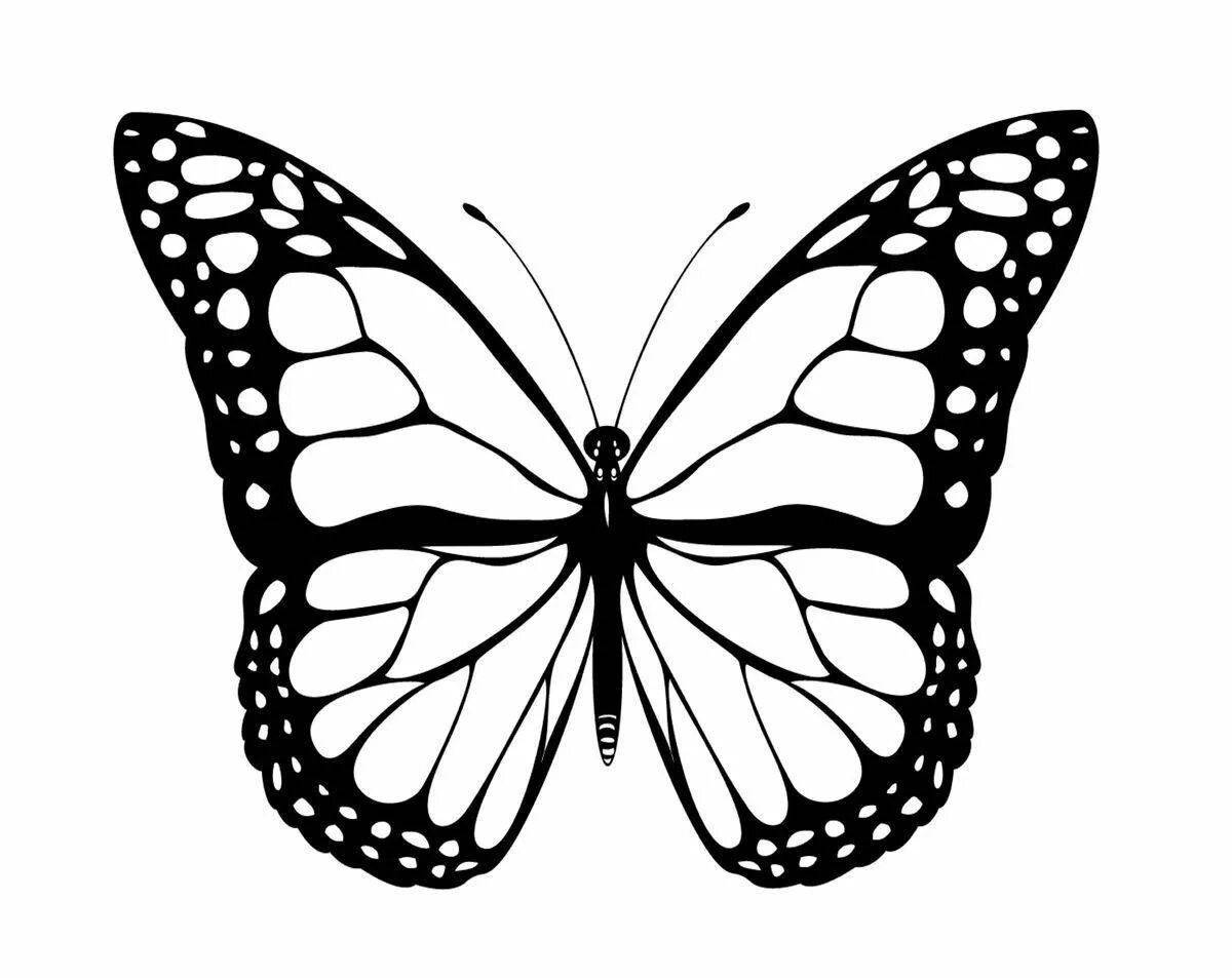 бабочки раскраски распечатать | Butterfly coloring page, Mandala coloring pages, Coloring pages