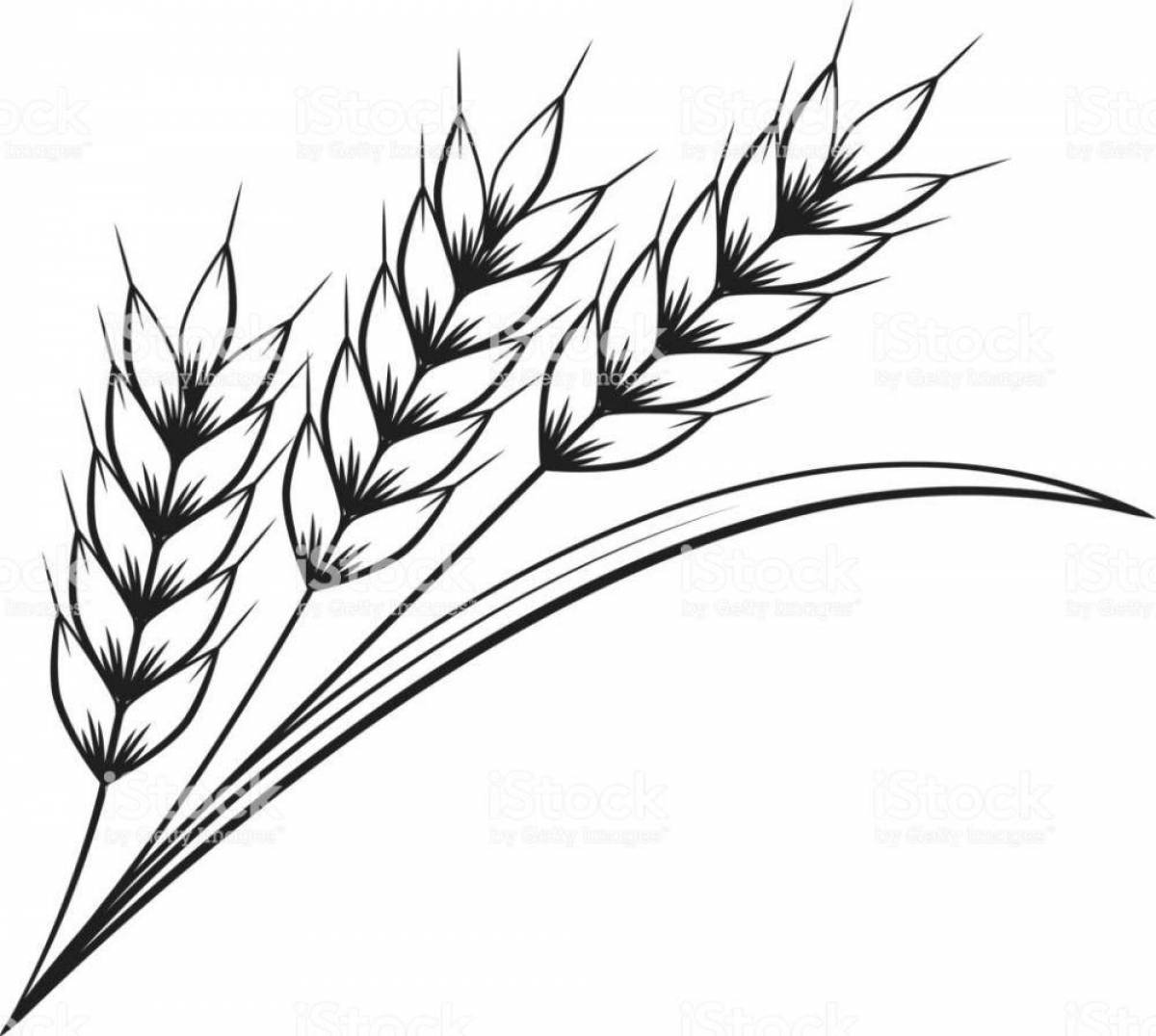 Amazing grain coloring page for kids