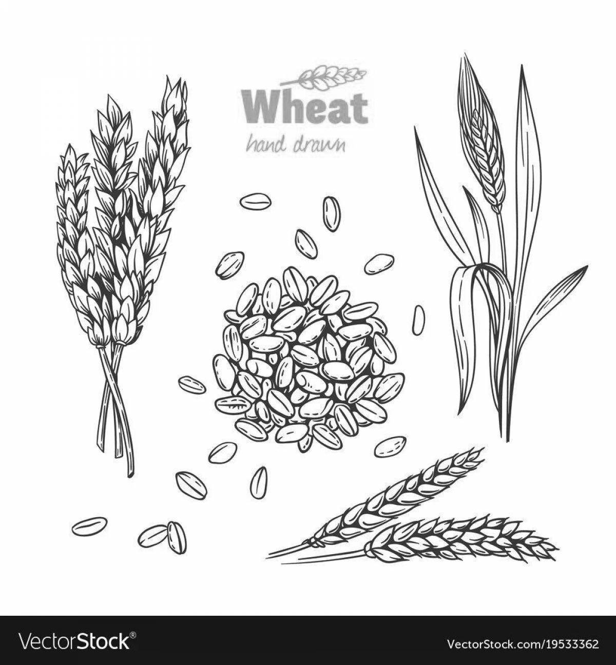 Friendly grain coloring page for kids