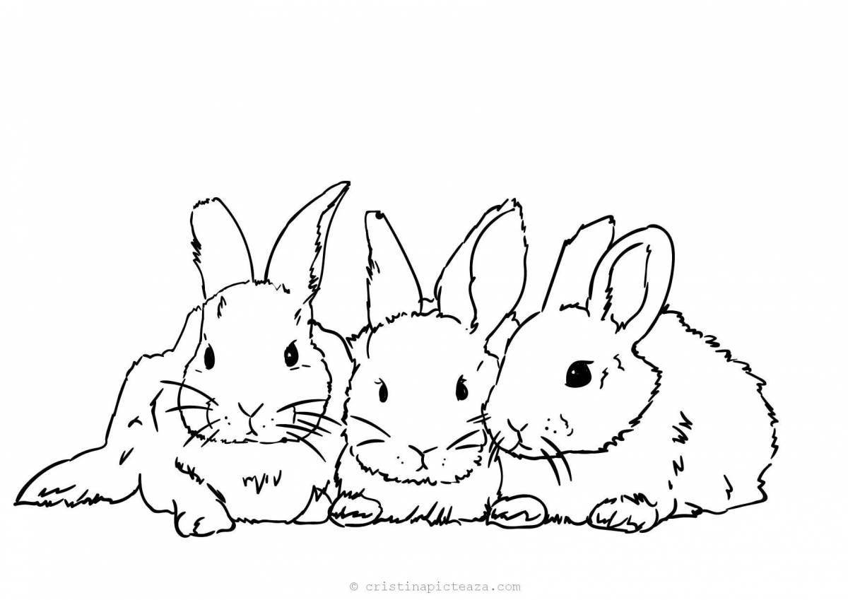 Coloring page happy rabbit and cat