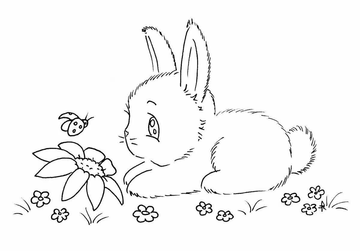 Coloring book bright rabbit and cat