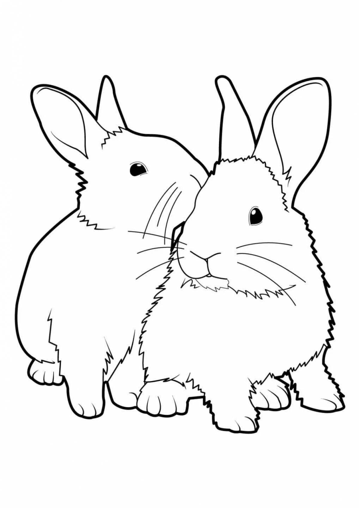 Coloring cute rabbit and cat