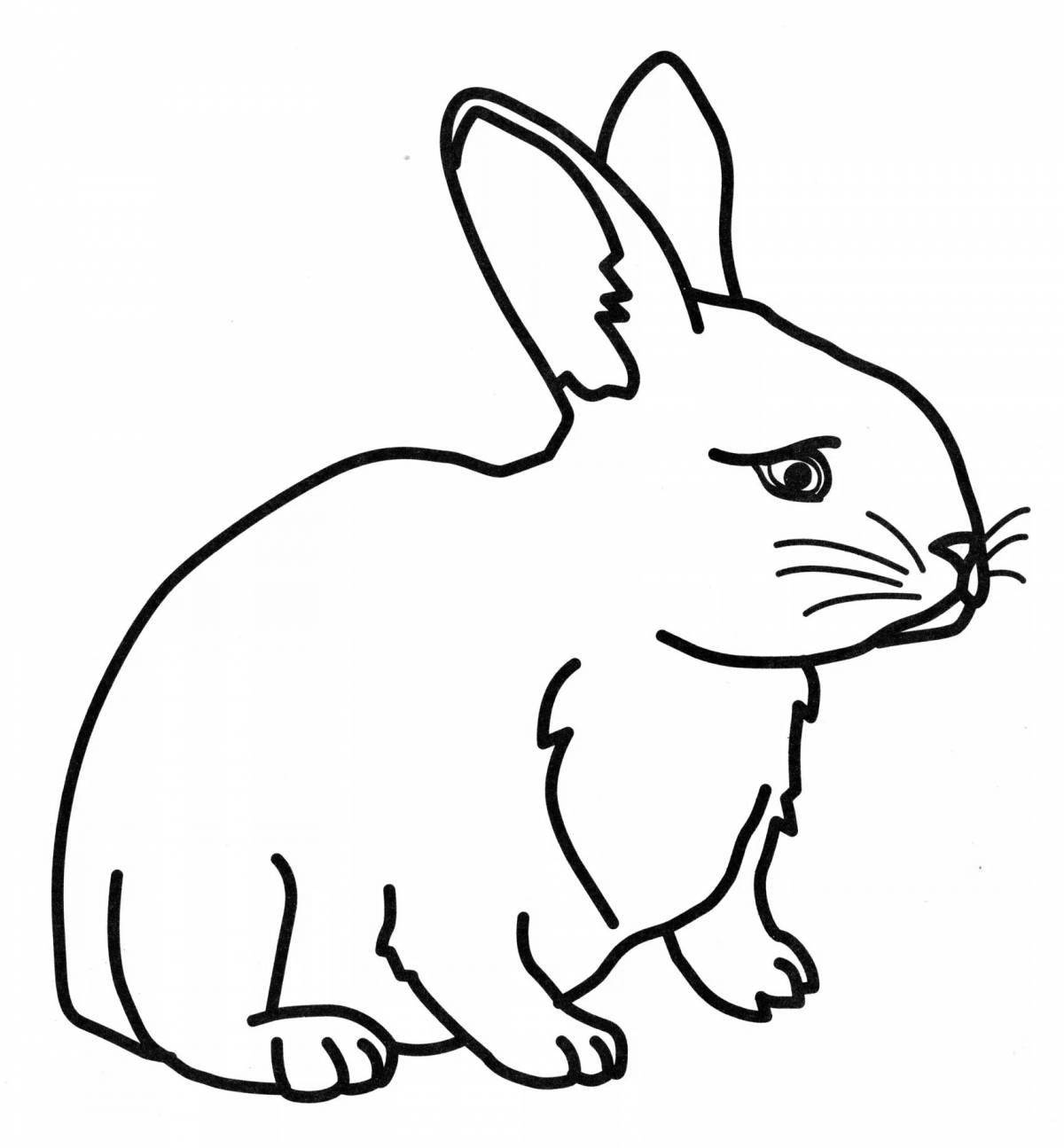 Coloring page affectionate rabbit and cat