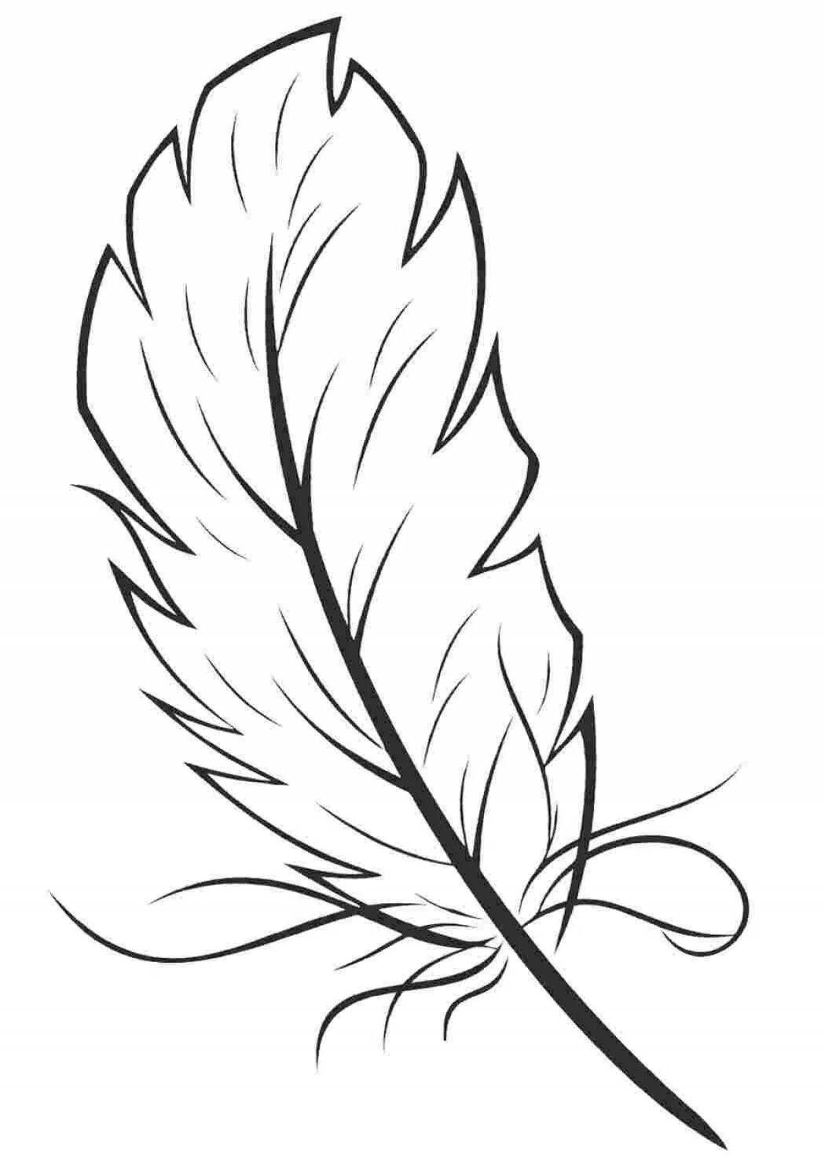 Colorful feather coloring page for kids