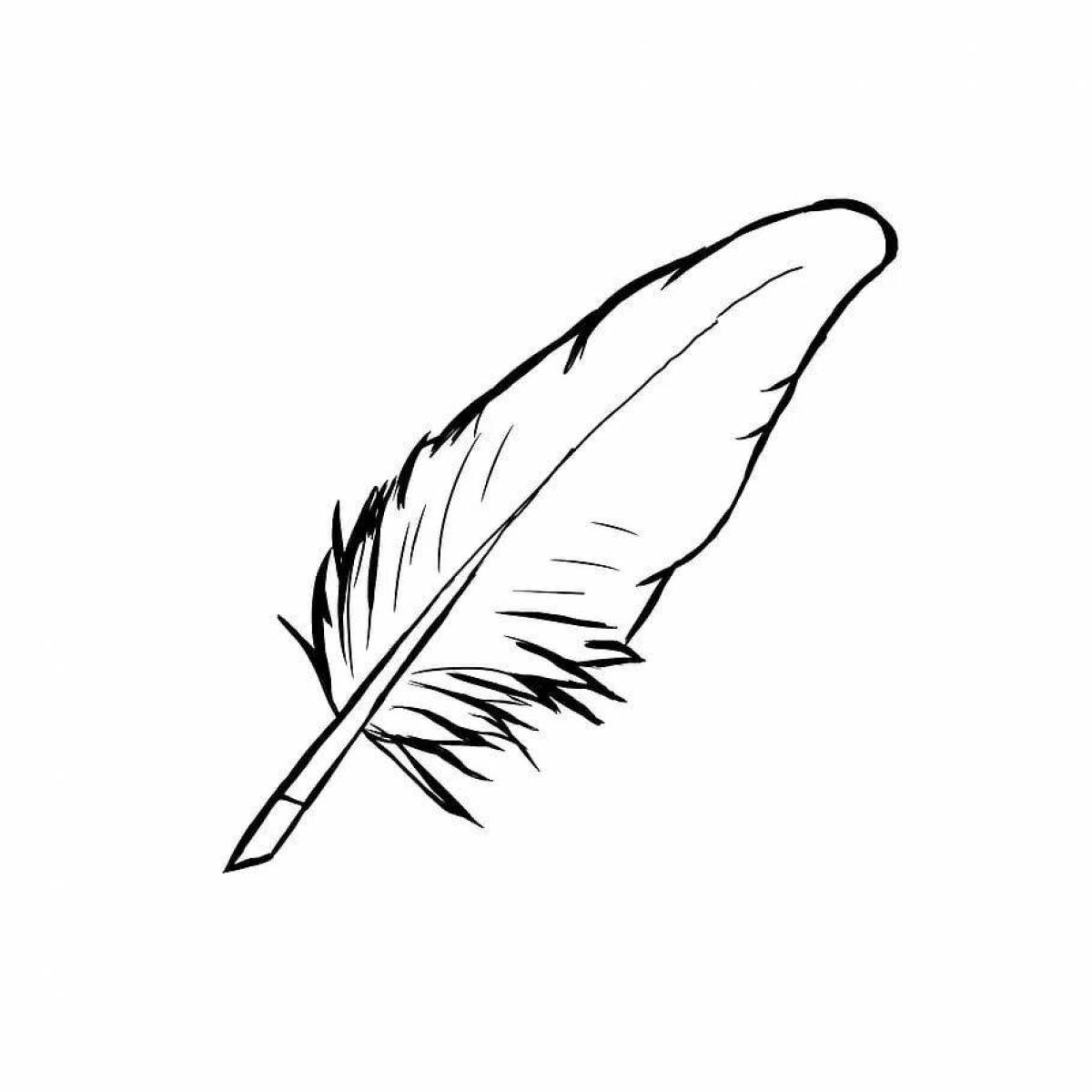 Fun feather coloring for kids