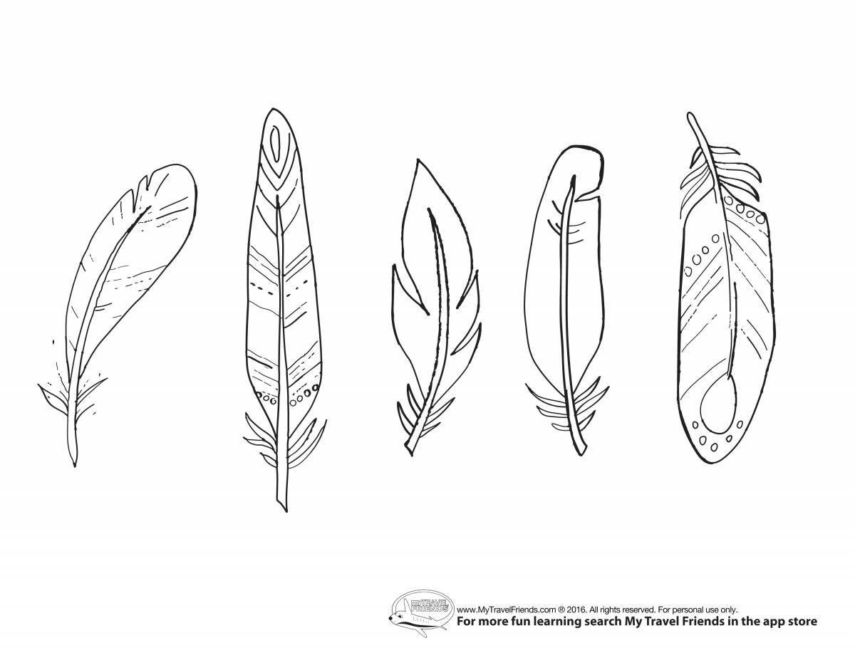 Coloring book with feathers for children
