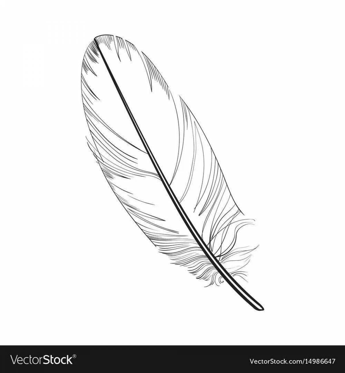 Colorful feathers coloring pages for kids