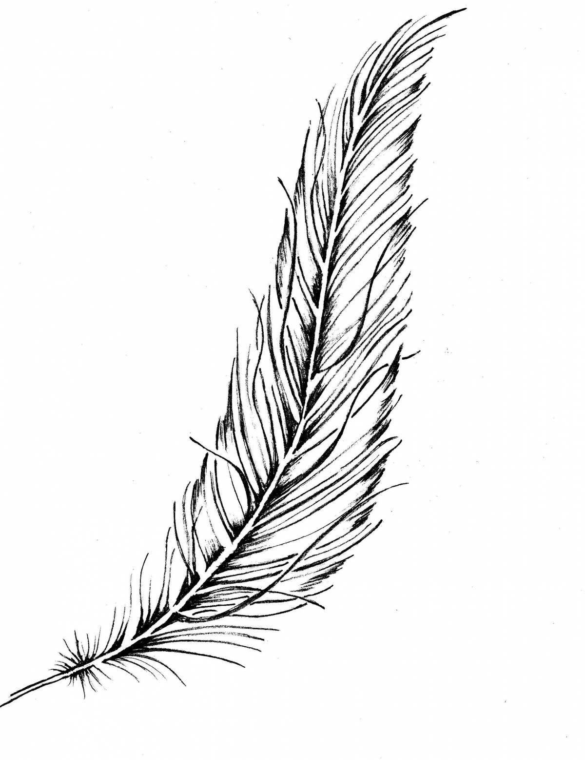 Feather for children #2