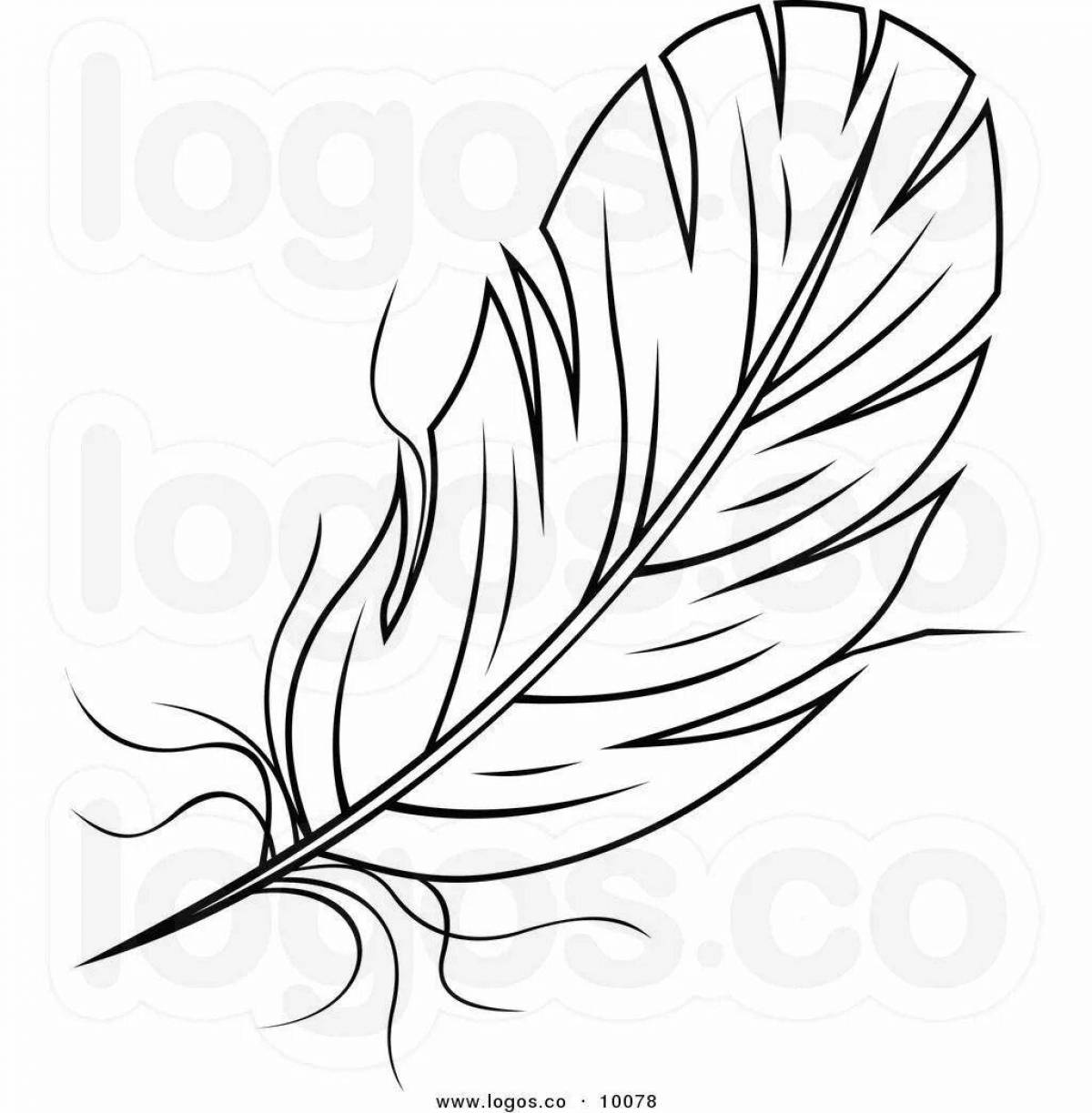 Feather for kids #4