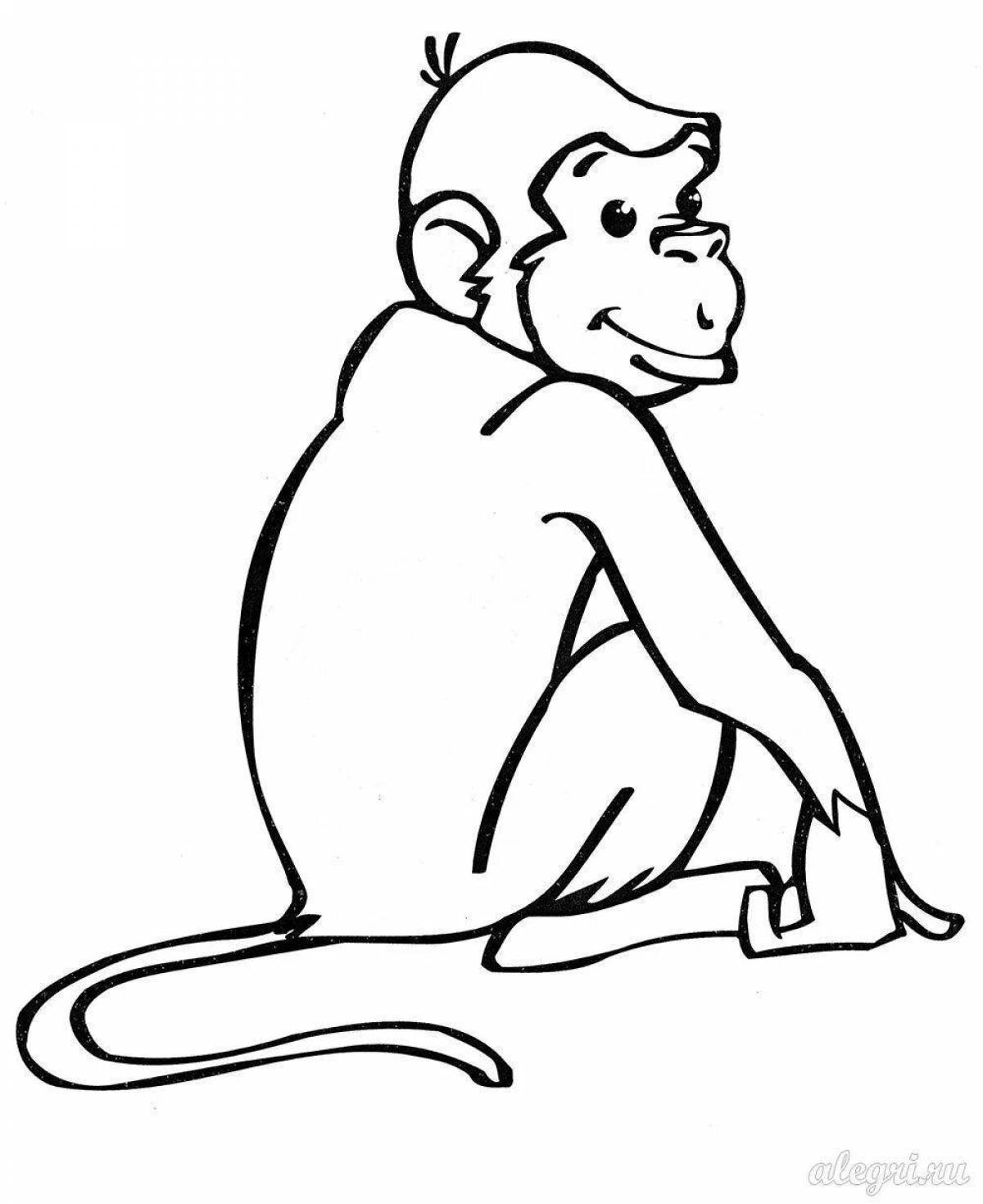 Colorful monkey coloring book