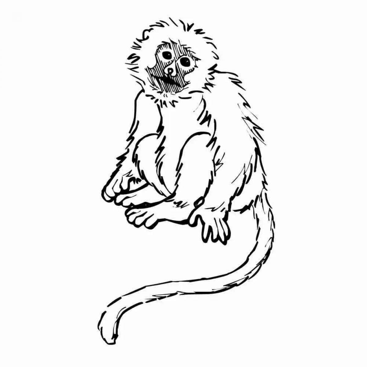 Coloring book funny monkey zhitkov