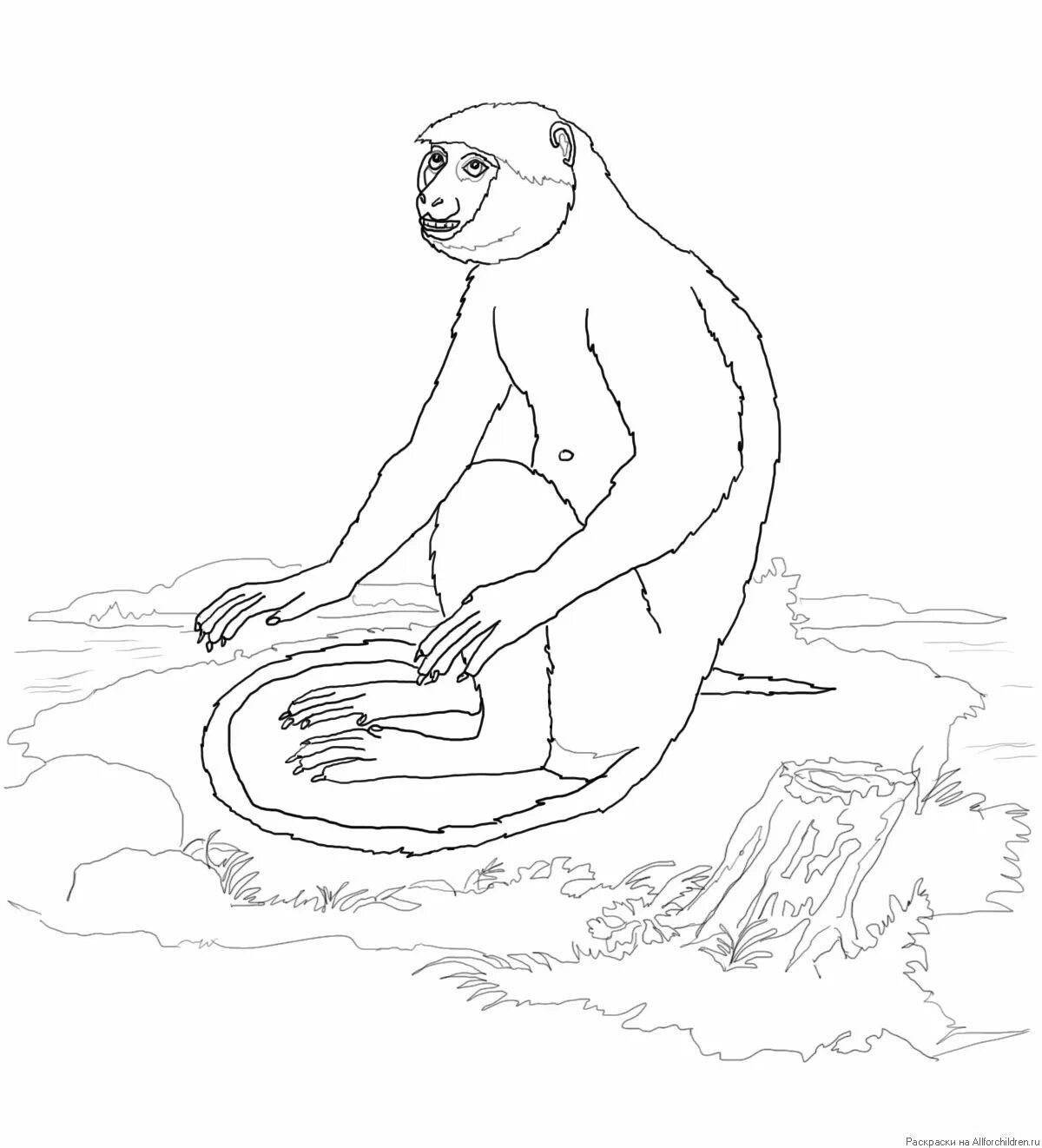 Coloring book joyful monkey zhitkov