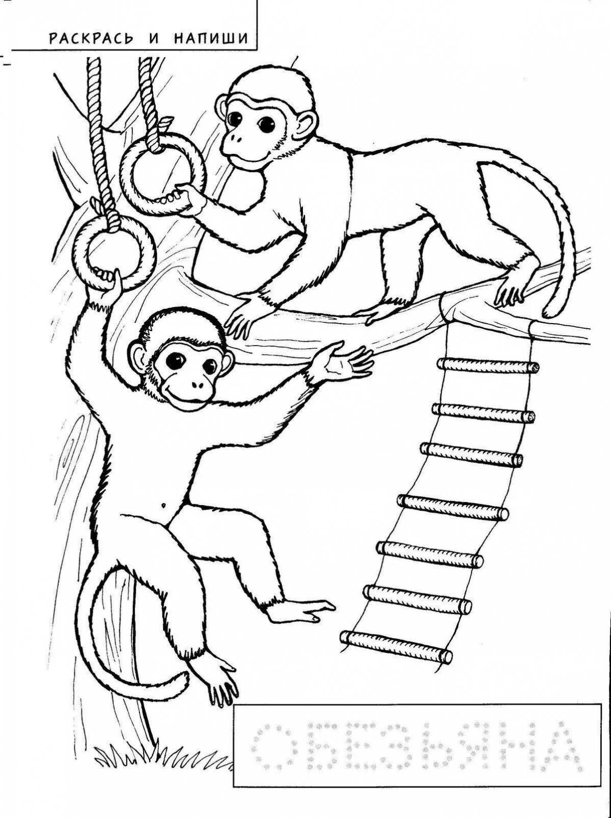 Cheerful monkey zhitkov coloring